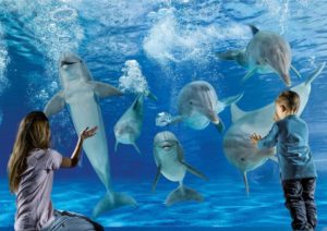acquario